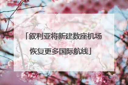 叙利亚将新建数座机场 恢复更多国际航线