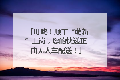 叮咚！顺丰“萌新”上岗，您的快递正由无人车配送！