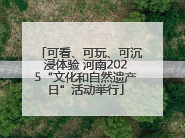 可看、可玩、可沉浸体验 河南2025“文化和自然遗产日”活动举行