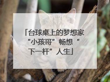 台球桌上的梦想家 “小孩哥”畅想“下一杆”人生