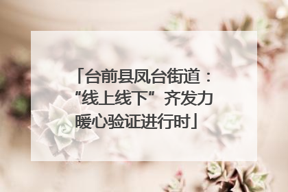 台前县凤台街道：“线上线下”齐发力 暖心验证进行时