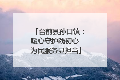 台前县孙口镇：暖心守护践初心 为民服务显担当