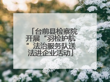 台前县检察院开展“羽检护航”法治服务队送法进企业活动