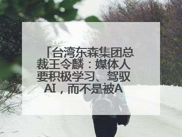 台湾东森集团总裁王令麟：媒体人要积极学习、驾驭AI，而不是被AI利用