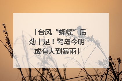 台风“蝴蝶”后劲十足！鹭岛今明或有大到暴雨