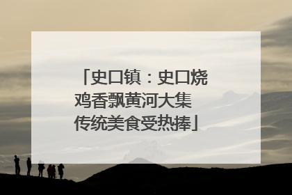 史口镇：史口烧鸡香飘黄河大集 传统美食受热捧