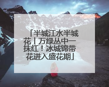半城江水半城花丨万绿丛中一抹红！冰城锦带花进入盛花期