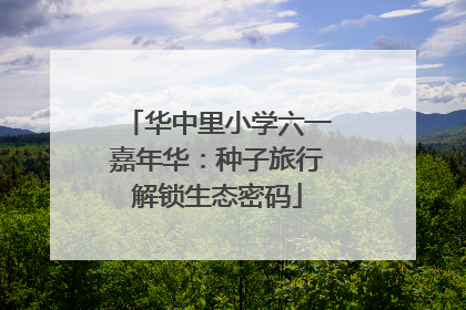 华中里小学六一嘉年华：种子旅行解锁生态密码