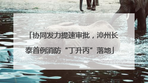 协同发力提速审批，漳州长泰首例消防“丁升丙”落地