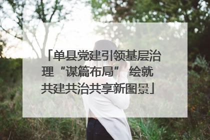 单县党建引领基层治理“谋篇布局” 绘就共建共治共享新图景