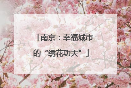南京：幸福城市的“绣花功夫”