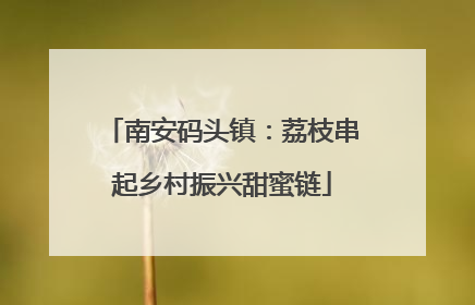 南安码头镇：荔枝串起乡村振兴甜蜜链
