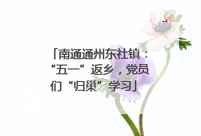 南通通州东社镇：“五一”返乡，党员们“归巢”学习