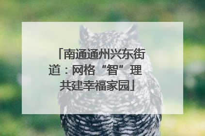 南通通州兴东街道：网格“智”理 共建幸福家园