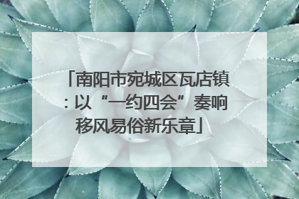 南阳市宛城区瓦店镇：以“一约四会”奏响移风易俗新乐章