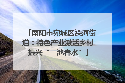 南阳市宛城区溧河街道：特色产业激活乡村振兴“一池春水”