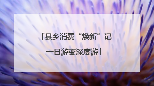 县乡消费“焕新”记 一日游变深度游