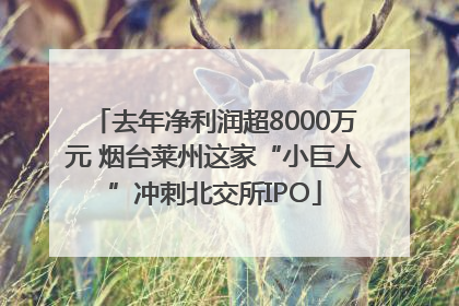 去年净利润超8000万元 烟台莱州这家“小巨人”冲刺北交所IPO