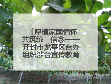 厚植家国情怀 共筑统一信念——开封市龙亭区台办组织涉台宣传教育进校园活动