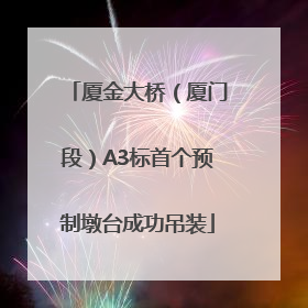 厦金大桥（厦门段）A3标首个预制墩台成功吊装