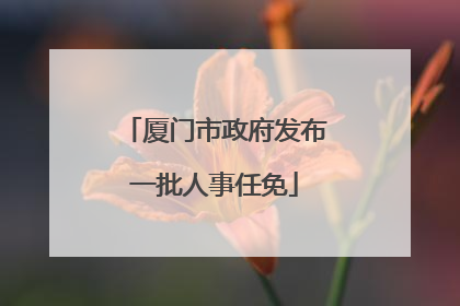 厦门市政府发布一批人事任免