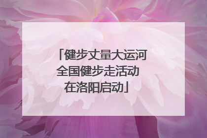 健步丈量大运河 全国健步走活动在洛阳启动