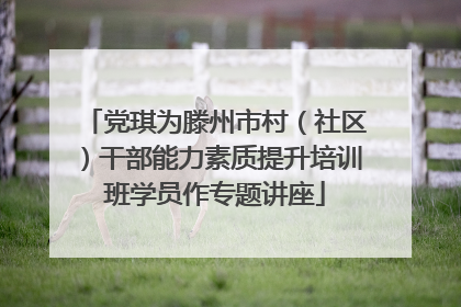 党琪为滕州市村（社区）干部能力素质提升培训班学员作专题讲座