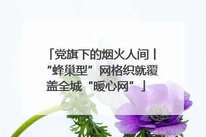 党旗下的烟火人间丨“蜂巢型”网格织就覆盖全城“暖心网”