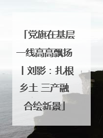 党旗在基层一线高高飘扬丨刘影：扎根乡土 三产融合绘新景