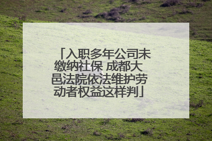 入职多年公司未缴纳社保 成都大邑法院依法维护劳动者权益这样判