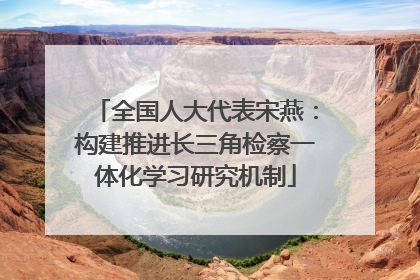全国人大代表宋燕：构建推进长三角检察一体化学习研究机制