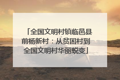 全国文明村镇临邑县前杨新村：从贫困村到全国文明村华丽蜕变