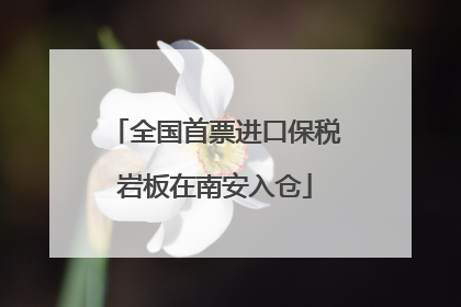 全国首票进口保税岩板在南安入仓