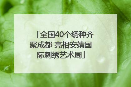 全国40个绣种齐聚成都 亮相安靖国际刺绣艺术周