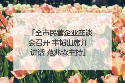 全市民营企业座谈会召开 韦韬出席并讲话 范兆森主持