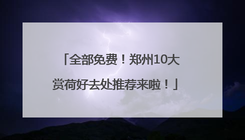 全部免费！郑州10大赏荷好去处推荐来啦！