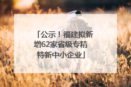 公示！福建拟新增62家省级专精特新中小企业