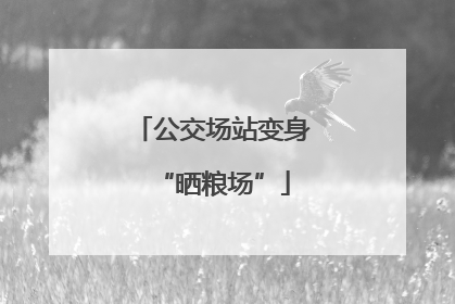 公交场站变身“晒粮场”