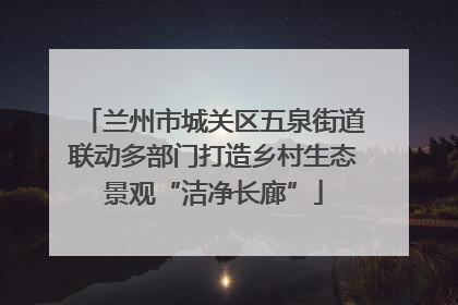 兰州市城关区五泉街道联动多部门打造乡村生态景观“洁净长廊”