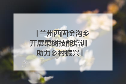 兰州西固金沟乡开展果树技能培训 助力乡村振兴