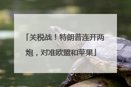 关税战！特朗普连开两炮，对准欧盟和苹果