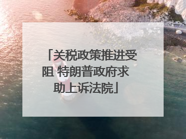 关税政策推进受阻 特朗普政府求助上诉法院