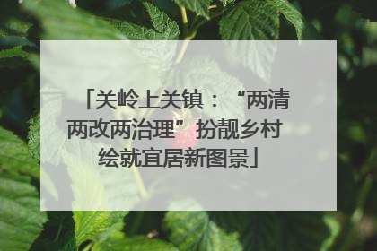 关岭上关镇：“两清两改两治理”扮靓乡村 绘就宜居新图景
