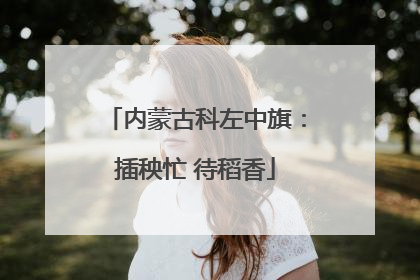 内蒙古科左中旗：插秧忙 待稻香