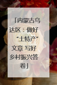 内蒙古乌达区：做好“土特产”文章 写好乡村振兴答卷