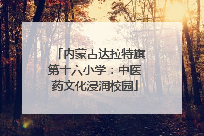 内蒙古达拉特旗第十六小学：中医药文化浸润校园