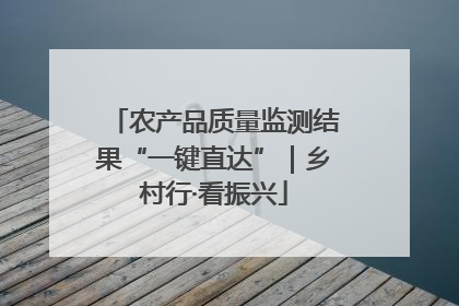 农产品质量监测结果“一键直达”｜乡村行·看振兴