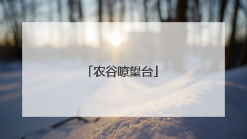 农谷瞭望台