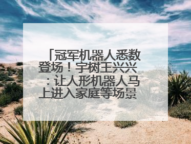 冠军机器人悉数登场！宇树王兴兴：让人形机器人马上进入家庭等场景并不现实
