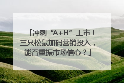 冲刺“A+H”上市！三只松鼠加码营销投入，能否重振市场信心？